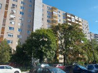 Kiadó panellakás, albérlet