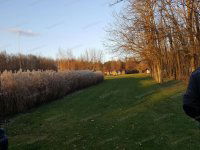 Eladó ipari ingatlan, Kecskeméten 230 M Ft / költözzbe.hu