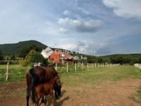 Eladó családi ház, Cserkúton 63 M Ft, 6 szobás