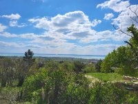 Eladó telek, Lovason 54.9 M Ft / költözzbe.hu