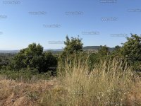 Eladó telek, Szentendrén 60 M Ft, 1 szobás / költözzbe.hu