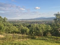 Eladó telek, Szentendrén 60 M Ft / költözzbe.hu