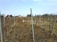 Eladó telek, Pázmándon 27.3 M Ft / költözzbe.hu