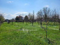 Eladó mezogazdasagi ingatlan