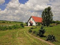 Eladó családi ház, Vácegresen 279.9 M Ft, 6 szobás