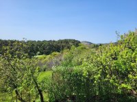 Eladó családi ház, Budaörsön 300 M Ft, 5 szobás