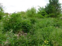 Eladó telek, Taktakenézen 2.225 M Ft / költözzbe.hu