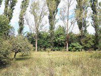Eladó családi ház, Biatorbágyon 240 M Ft, 4 szobás