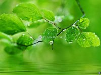 Eladó telek, Nyíregyházán 28 M Ft / költözzbe.hu