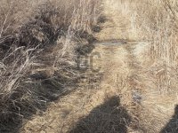 Eladó telek, Farkaslyukon, Eperjes dűlőn 1.29 M Ft