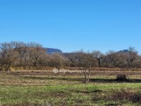 Eladó mezogazdasagi ingatlan, Balatonedericsen 137.577 M Ft