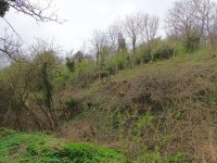 Eladó telek, Zalaszentgróton 0.5 M Ft / költözzbe.hu