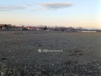Eladó mezogazdasagi ingatlan, Üllésen 6 M Ft
