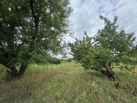 Eladó telek, Nyíregyházán 34.99 M Ft / költözzbe.hu