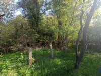 Eladó mezogazdasagi ingatlan, Monoron 5.6 M Ft