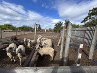 Eladó családi ház, Bátmonostoron 19.999 M Ft, 4 szobás