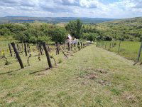 Eladó mezogazdasagi ingatlan, Zalaszentgróton 12 M Ft