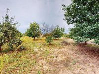 Eladó családi ház, Bükkábrányban 75 M Ft, 5 szobás