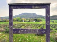 Eladó telek, Badacsonytomajon 150 M Ft / költözzbe.hu