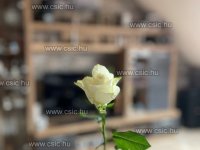 Eladó téglalakás, Fóton 69.99 M Ft, 2 szobás