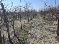 Eladó telek, Cegléden 2.9 M Ft / költözzbe.hu