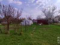 Eladó mezogazdasagi ingatlan, Szegeden 24.5 M Ft, 1 szobás