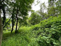 Eladó telek, Leányfaluban 29.9 M Ft / költözzbe.hu