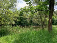 Eladó téglalakás, Únyon 46 M Ft, 2 szobás