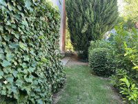 Kiadó téglalakás, albérlet, II. kerületben 778 E Ft / hó