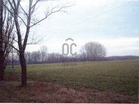 Eladó mezogazdasagi ingatlan, Fülöpházán 99 M Ft