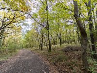 Eladó telek, Kismaroson 7.9 M Ft / költözzbe.hu