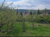 Eladó telek, Miskolcon 19 M Ft / költözzbe.hu