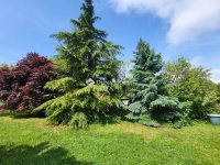 Eladó családi ház, Úrhidán 109 M Ft, 5 szobás