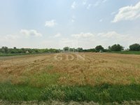 Eladó telek, Pátkán 12 M Ft / költözzbe.hu
