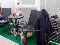 Eladó nyaraló, Siófokon 58 M Ft, 2+1 szobás