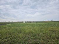 Eladó telek, Dunaszegen 27.5 M Ft / költözzbe.hu