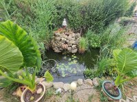 Eladó családi ház, Pécsett 84.9 M Ft, 4 szobás