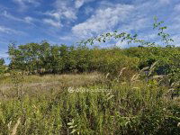 Eladó telek, Szekszárdon 22.9 M Ft / költözzbe.hu