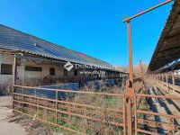 Eladó mezogazdasagi ingatlan