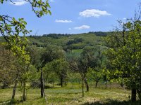 Eladó családi ház, Csőváron 59.9 M Ft, 4 szobás