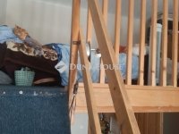 Eladó téglalakás, XIII. kerületben 48.5 M Ft, 1 szobás