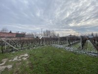 Eladó mezogazdasagi ingatlan, Daruszentmiklóson 24 M Ft, 1 szobás