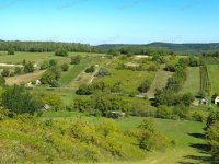 Eladó mezogazdasagi ingatlan, Ravazdon 6.5 M Ft