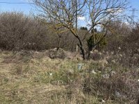 Eladó telek, Győrött 6 M Ft / költözzbe.hu