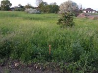 Eladó telek, Tatán 100 M Ft / költözzbe.hu