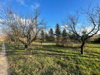 Eladó mezogazdasagi ingatlan