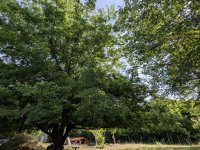 Eladó telek, Cegléden 19.9 M Ft / költözzbe.hu