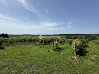 Eladó telek, Balatonszőlősön 47.99 M Ft / költözzbe.hu