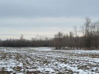 Eladó mezogazdasagi ingatlan