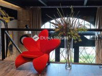 Kiadó üzlethelyiség